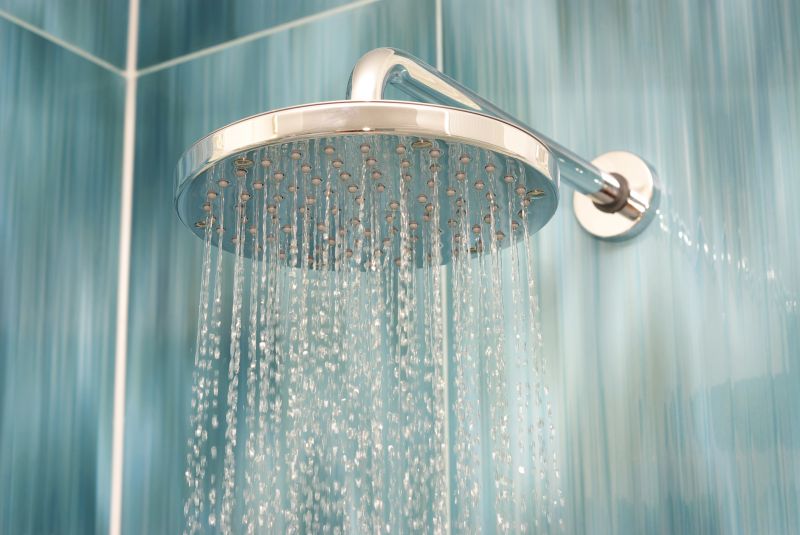 Luxury Rain Showerhead